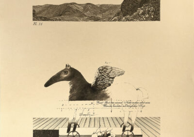 <ttl>Levan Mekhuzla <br>Illustration of Rainer Maria Rilke’s The Love and Death of Cornet Christopher Rilke, 2009 <br></ttl>350$