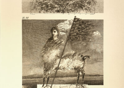 <ttl>Levan Mekhuzla <br>Illustration of Rainer Maria Rilke’s The Love and Death of Cornet Christopher Rilke, 2009 <br></ttl>350$