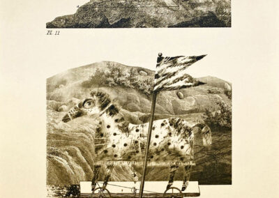 <ttl>Levan Mekhuzla <br>Illustration of Rainer Maria Rilke’s The Love and Death of Cornet Christopher Rilke, 2009 <br></ttl>350$