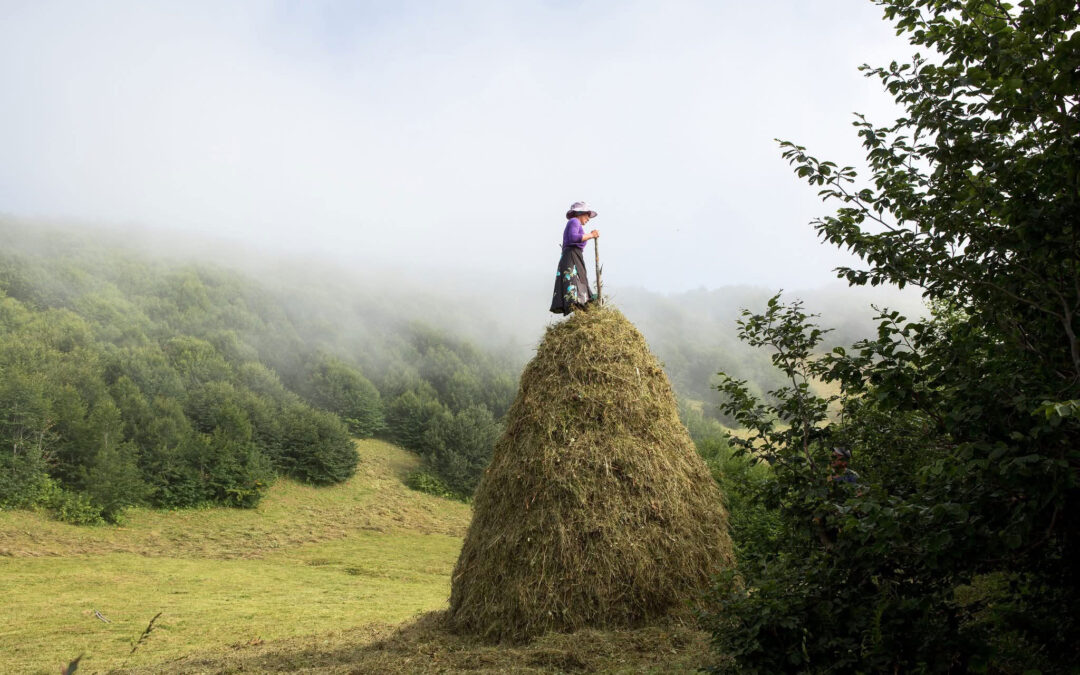 Natela Grigalashvili From the series “The Final Days of Georgian Nomads” 1,650$