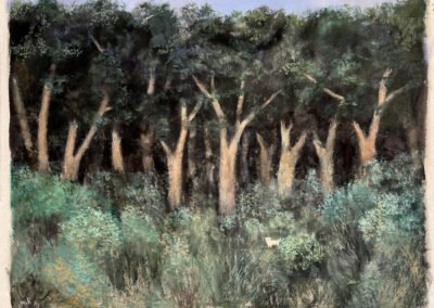 <ttl>Tinatin Chkhikvishvili <br>Deep in the Forest, 2025 <br></ttl>3,000$