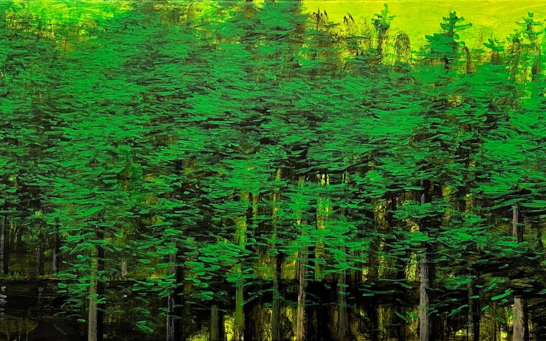 Zurab Gikashvili Forest, 2019 2,500$