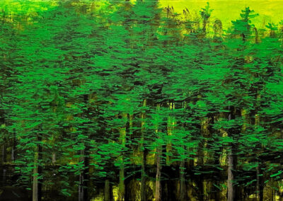 <ttl>Zurab Gikashvili <br>Forest, 2019 <br></ttl>2,500$